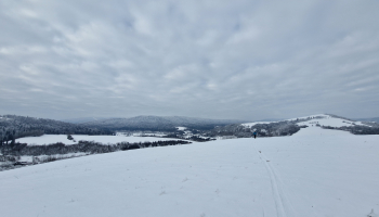 15.03.2026 Pogróże małe i duże - Oratyk